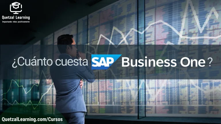 Curso en línea ¿Cuánto cuesta SAP Business One?